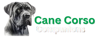 Cane Corso Companions
